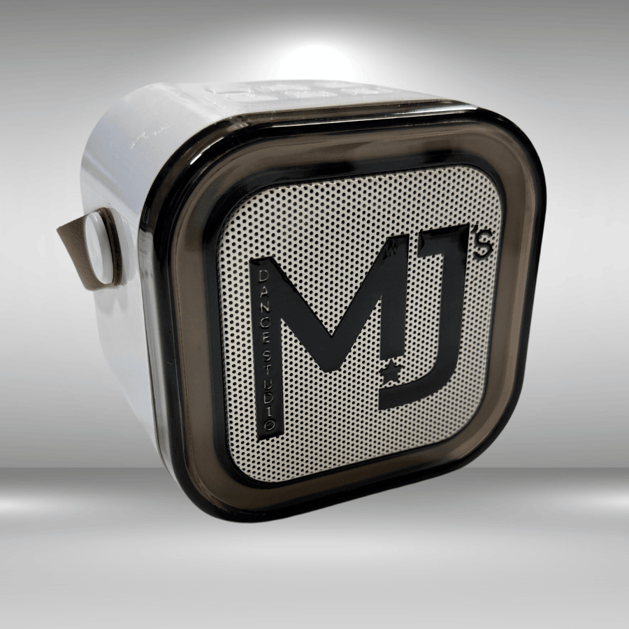 MJ's Portable Karaoke Machine